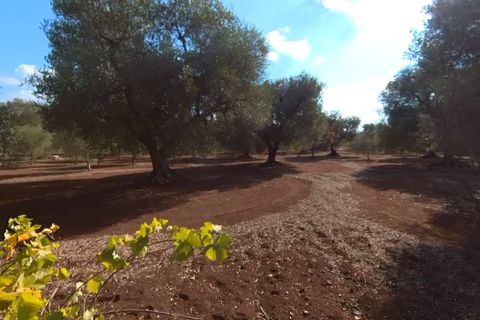 Landejendom i Ostuni, Brindisi, Ostuni - € 87.000 | Ref: 149 - foto 11